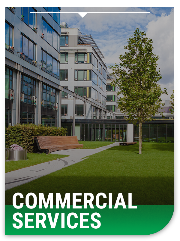 Commercial Services