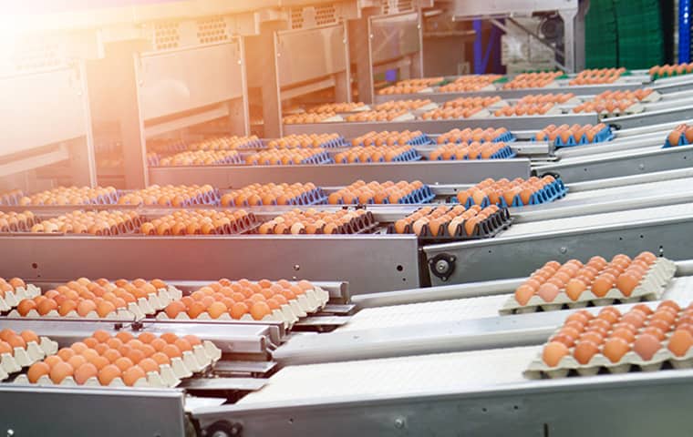 food processing facility