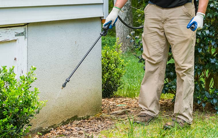 spraying for pests around home exterior