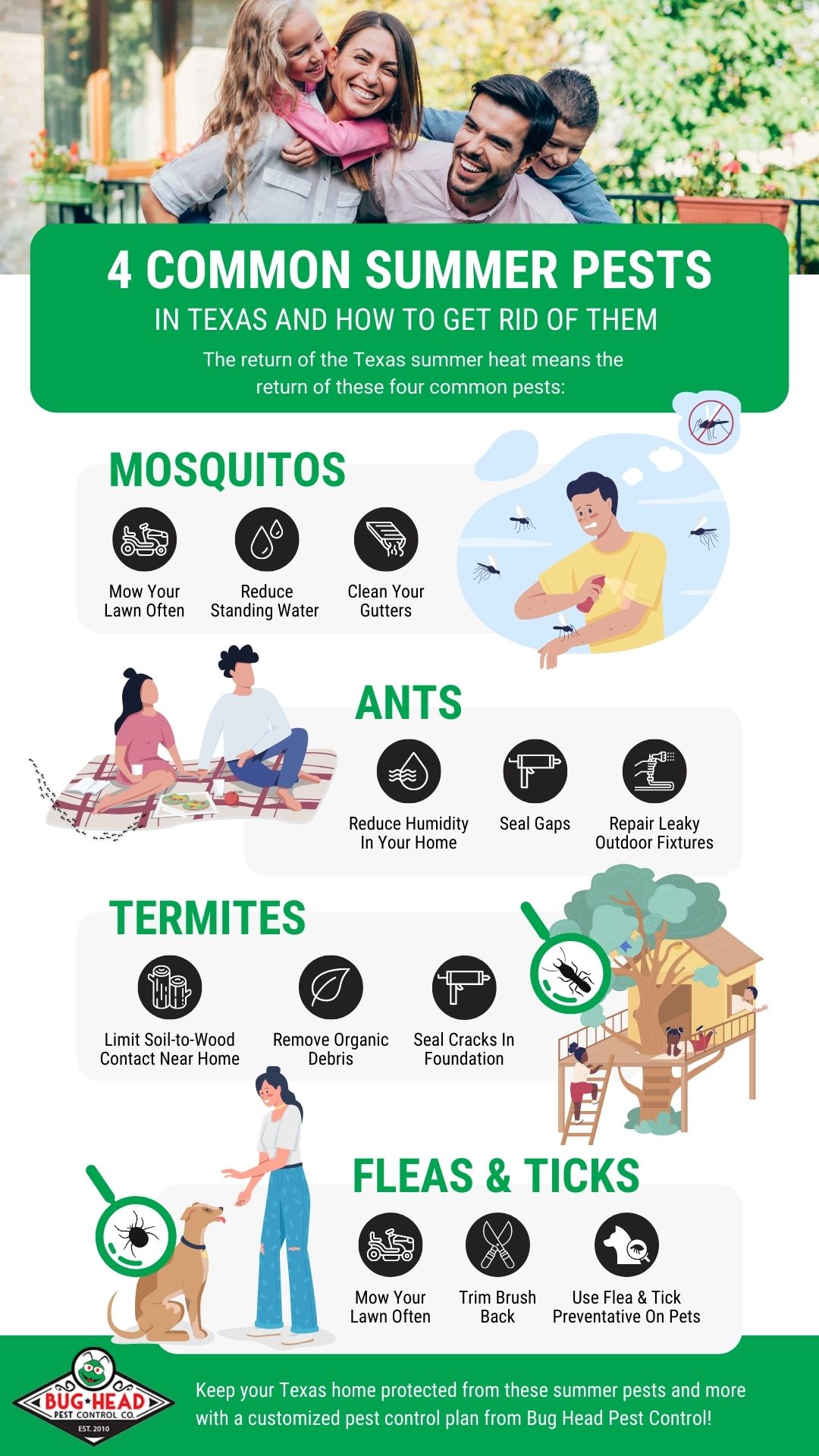 M35984-Bug-Head-Pest-Control-infographic-4-Common-Summer-Pests-In-Texas-2.jpg