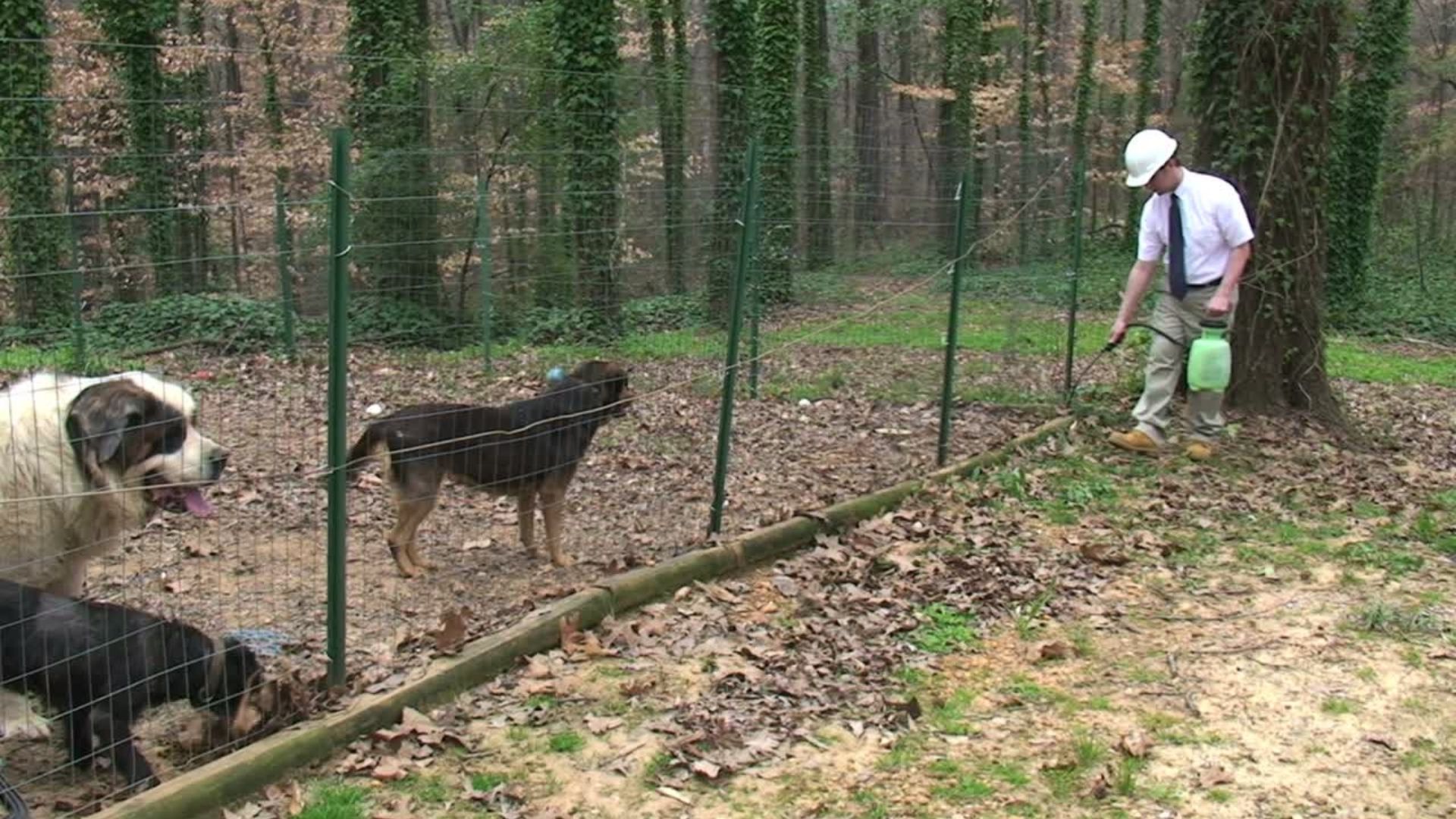 exterminator spraying near pets