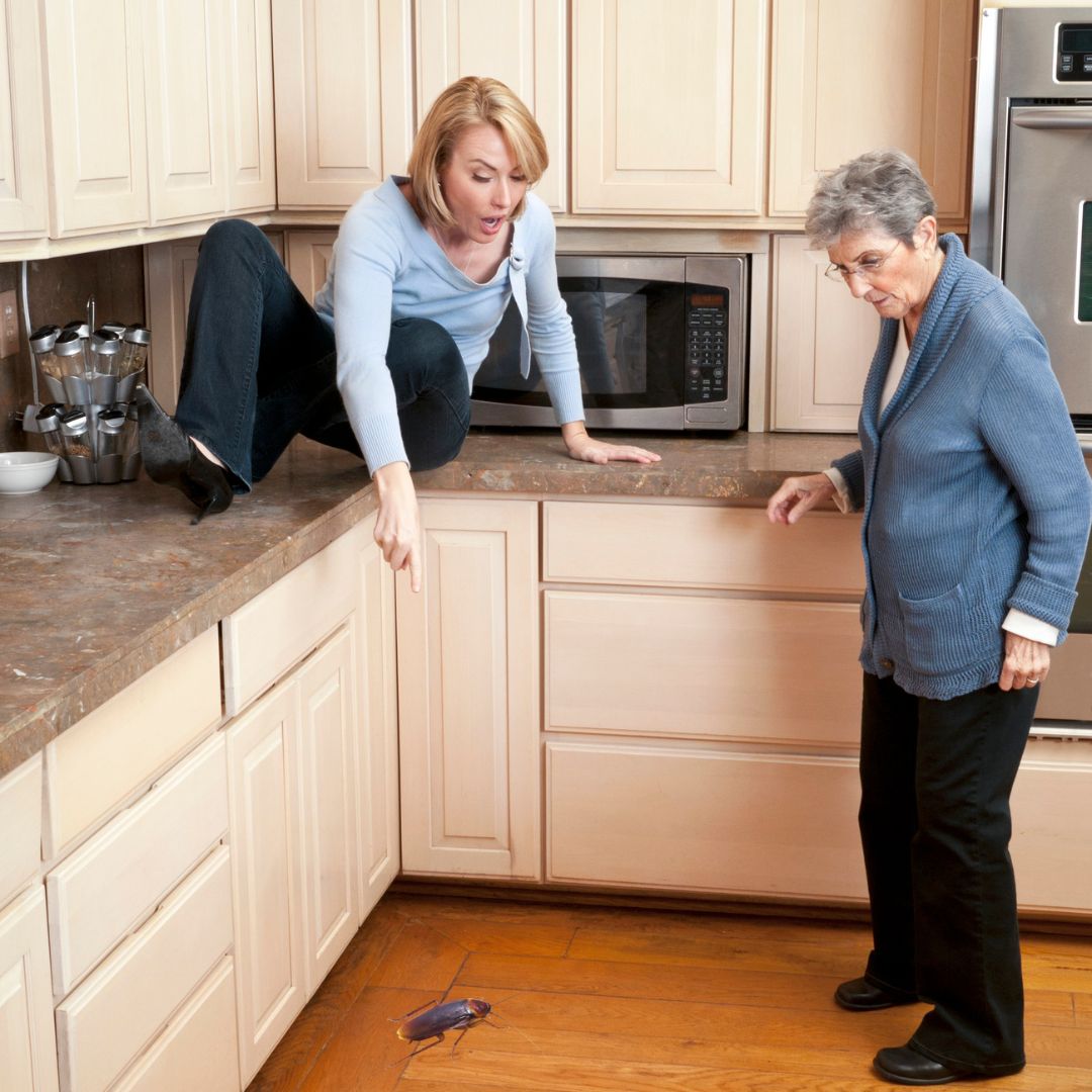 two people in a kitchen with a very large cockroach