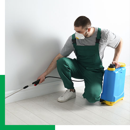 pest control technician spraying in corner
