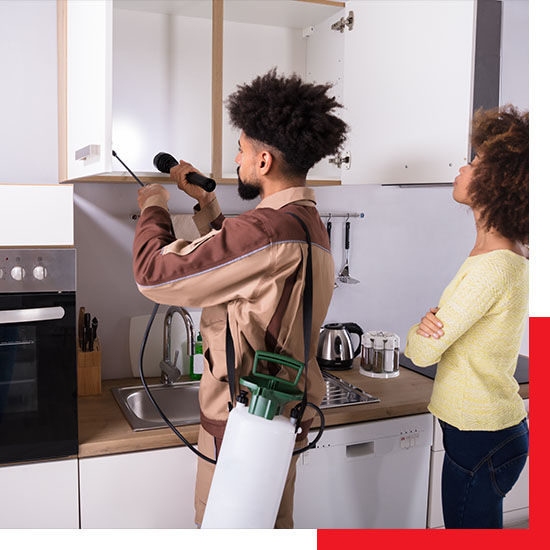 pest conrtrol worker inspecting for pests