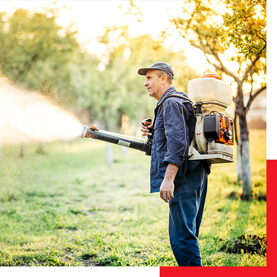 pest control technician spraying outside