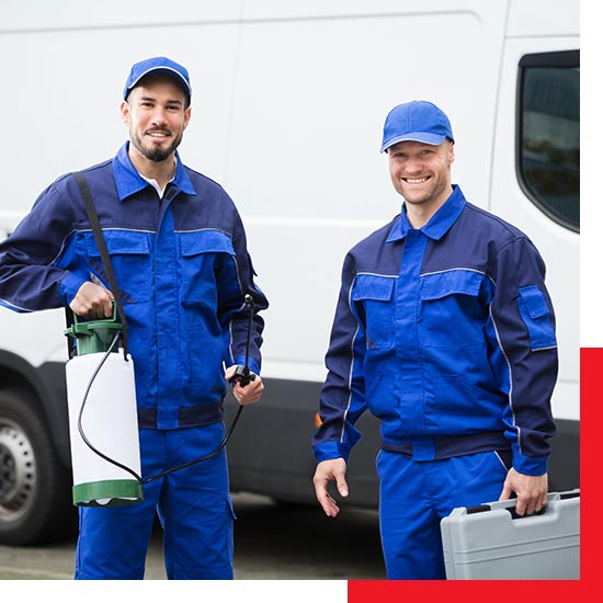 Pest Control Services in Highland Village PB 50 50 Pic 2