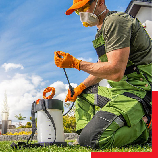 pest control