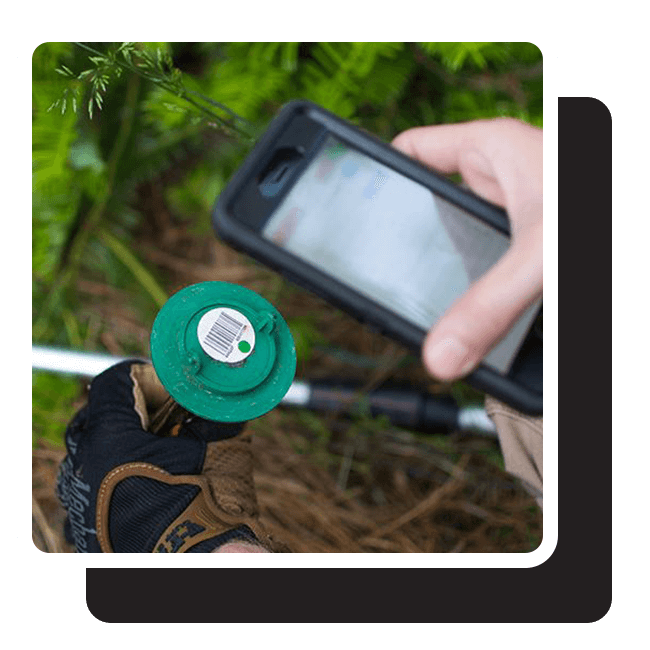 superior pest control services