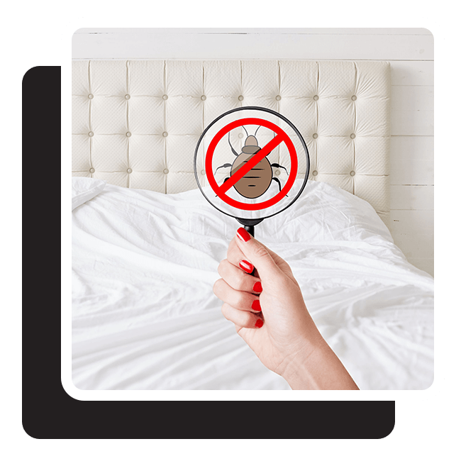 hand holding up magnifying glass with bed bug