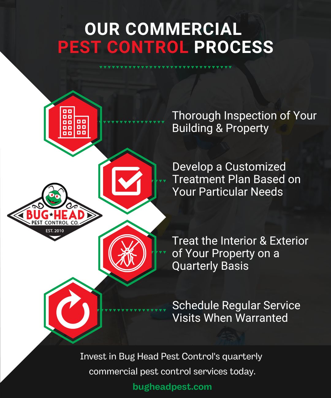 M35984 - Bug Head Pest Control Infographic Commercial Services