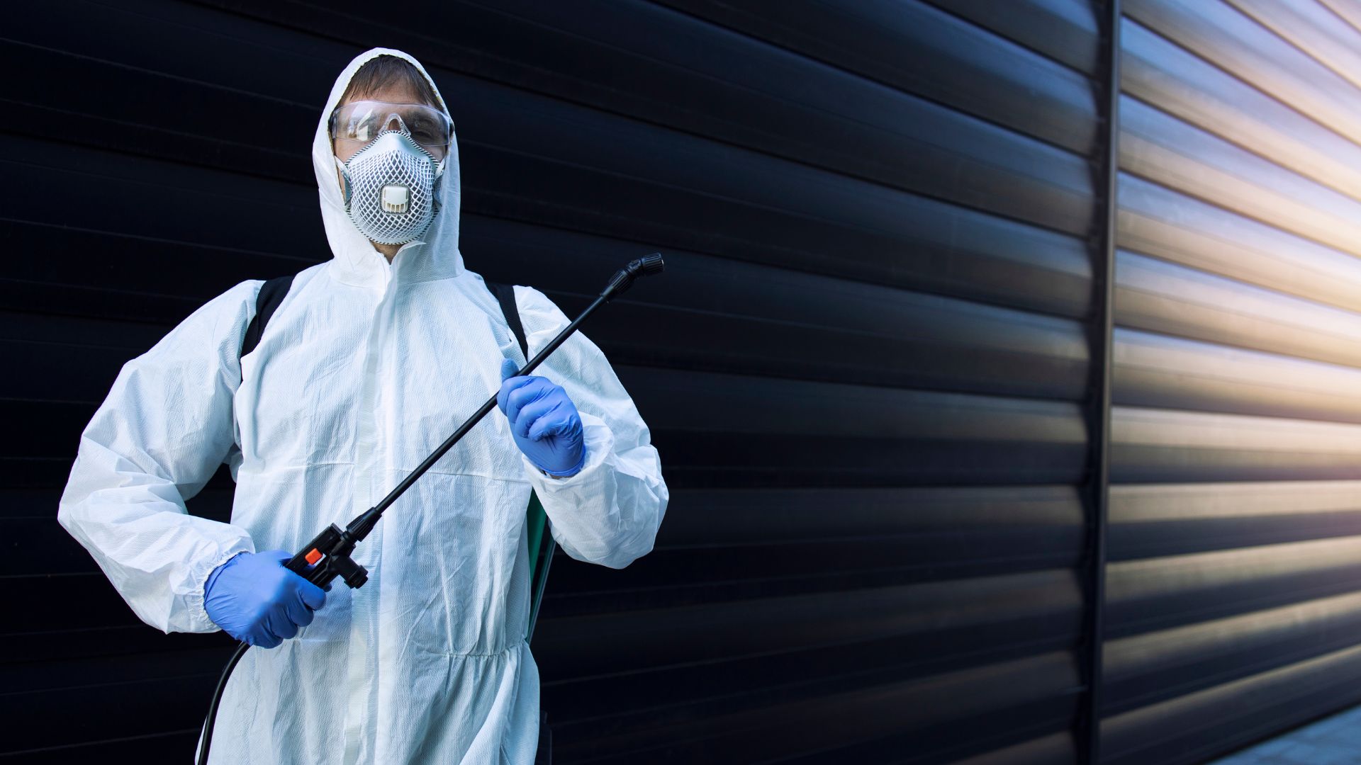 exterminator