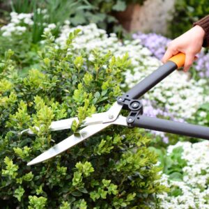 person trimming bushes