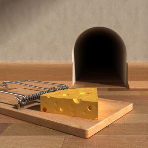 mouse trap
