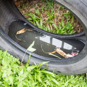 water sitting in a tire