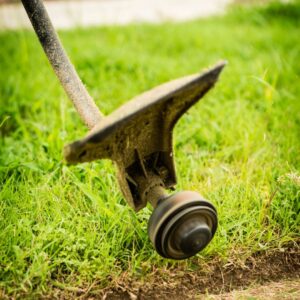 trimming the grass