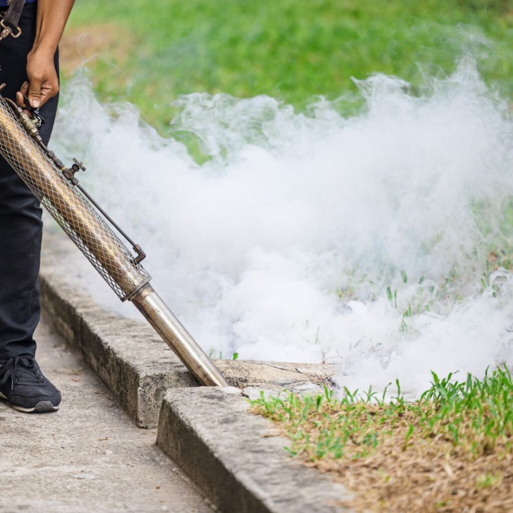mosquito control services