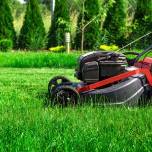 mowing the lawn