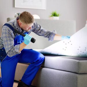 exterminator looking for bed bugs