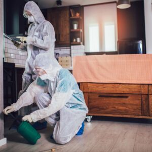 Pest control contractors working in a house