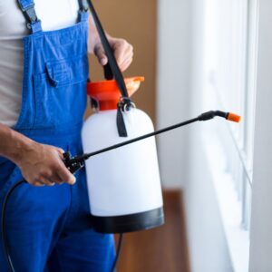 pest control spray