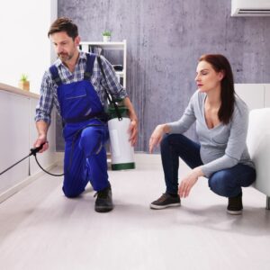 A worker spraying pest chemicals