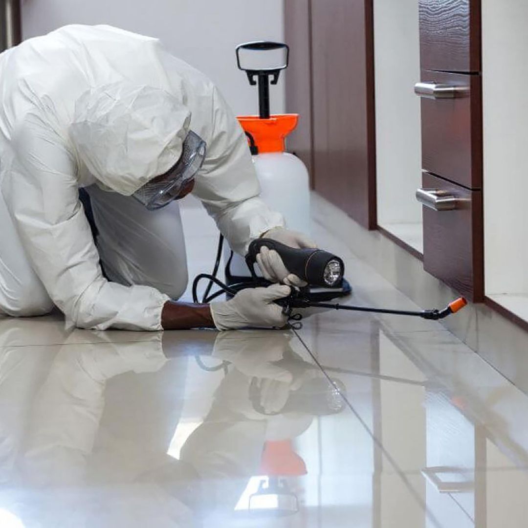 spraying pest control spray