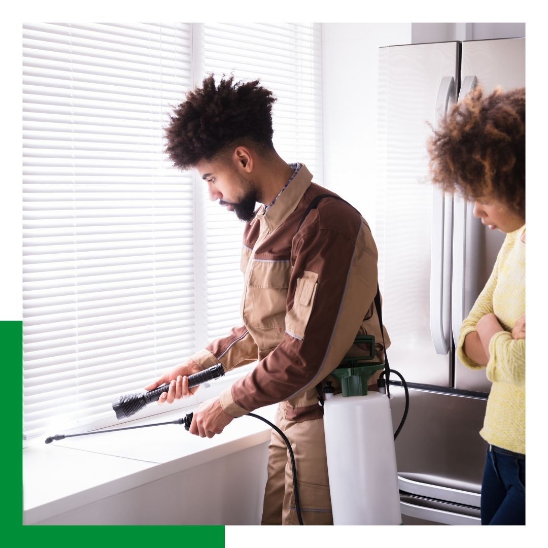 pest control technician spraying a window with a customer watching