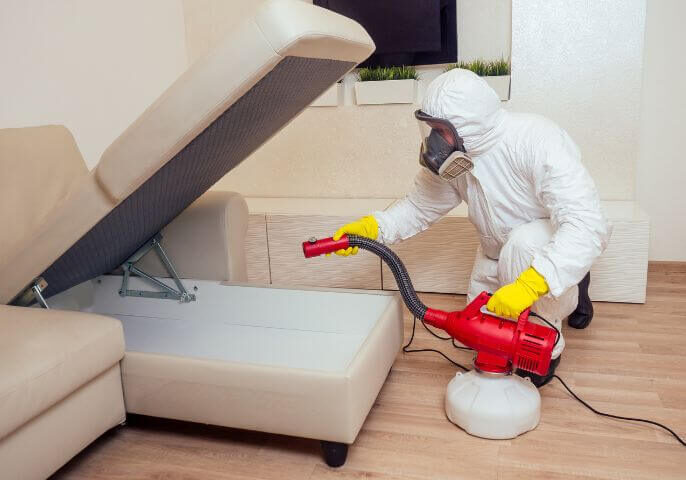 pest control tech spraying couch